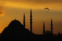 Suleymaniye Mosque von Evren Kalinbacak