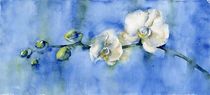 White Orchid von Tania Vasylenko