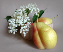 Holunderblüte mit Birnen von Kerstin Runge