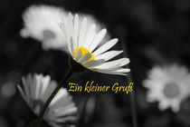 Kleiner Gruß - little greeting by ropo13