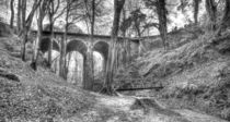 Groudle Glen Railway Bridge  Isle of Man von Julie  Callister