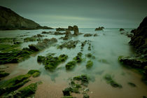 Low Tide Costa Vicentina Portugal by mark haley