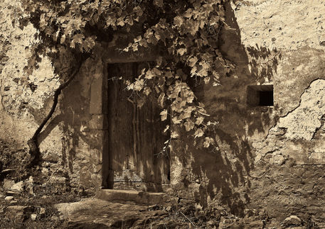 Old-door-and-vine