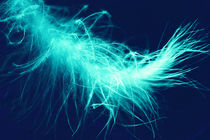 electric feather von Lina Shidlovskaya