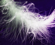 electric feather by Lina Shidlovskaya