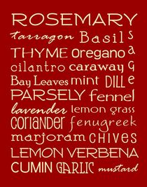 Culinary Herbs Poster von friedmangallery