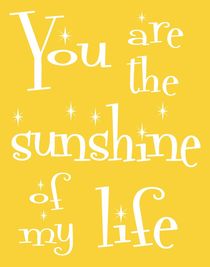 Sunshine of My Life Poster von friedmangallery
