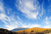 Colorful autumn landscape in the mountains  von Admir Idrizi