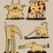 Funny-animals3