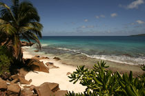 Seychelles Beach by dreamtours