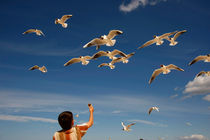 boy feeding the seagulls