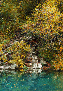Autumn lake by Lina Shidlovskaya