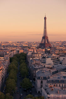 Eiffel Tower sunset by Daniel Zrno