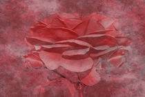 Rote Rosen von Christine Bässler