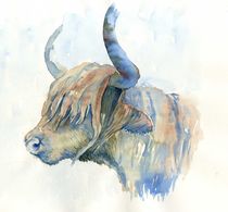 Highland cow von Tania Vasylenko