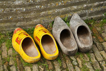 Wooden Shoes by Louise Heusinkveld
