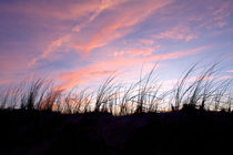 Sunset in the Dunes von Christopher Seufert