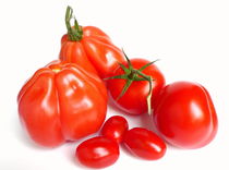 Familie: Tomate von Kerstin Runge