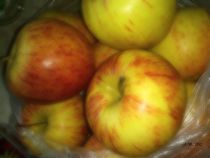 Äpfel by badauarts