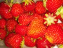 Erdbeeren spezial von badauarts