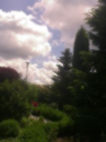 Wolken im Garten by badauarts