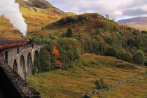 Steam train travelling across the Glenfinnan Viaduct, Scotland by Linda More