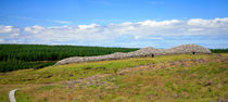 Grey Cairns of Camster, panoramic view, Scotland, UK by Linda More