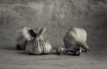 Spanish Garlic Black and White Still Life  by mark haley