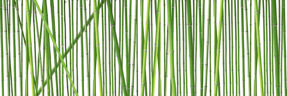 Bambus-stangen-40-x-120-cm