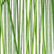 Bambus-stangen-40-x-120-cm