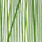 Bambus-stangen-tobiaspfau