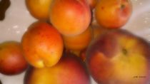 Aprikosen Pfirsiche by badauarts