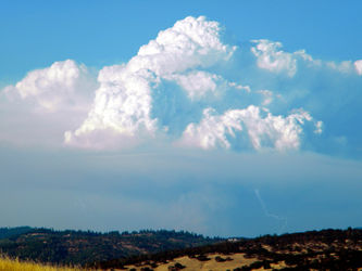 Pyrocumulus-cloud