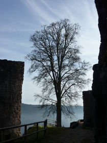 Baum auf Burg by regenbogenfloh
