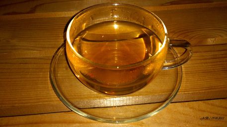Tee-tasse-gold-0041