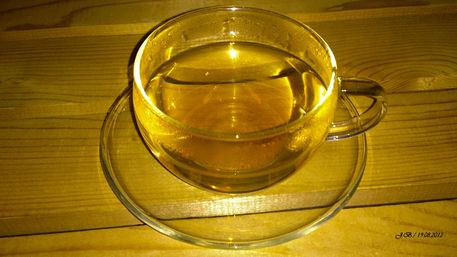 Tee-tasse-hellgold-0041