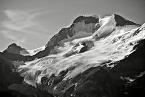 A glacier in Jasper National Park by RicardMN Photography