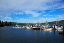 Government Wharf in Sooke Harbour, British Columbia by Louise Heusinkveld