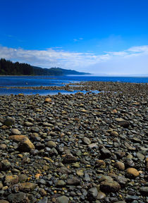 Pebble Beach at Low Tide by Louise Heusinkveld