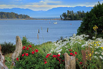 Sooke Harbour by Louise Heusinkveld