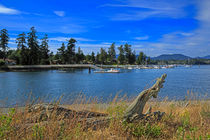 Whiffin Spit and Sooke Harbour von Louise Heusinkveld
