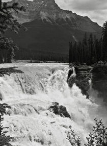 Athabasca Falls by RicardMN Photography