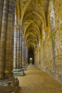 The Cloisters by Colin Metcalf
