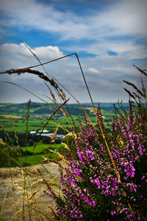 View from Otley Chevin #1 by Colin Metcalf