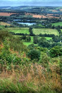 View from Otley Chevin #2 by Colin Metcalf
