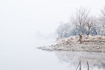 Winter Shore by Paul Anguiano