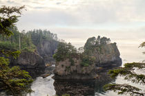 Cape Flattery Inlet by Paul Anguiano