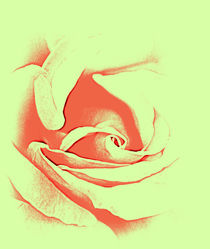 Rose Art. von rosanna zavanaiu