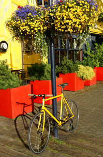 YELLOW BICYCLE Vancouver Canada by John Mitchell