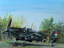 Ju 87 by Elisabeth Maier